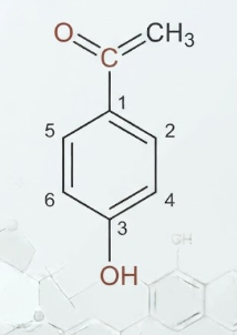 4-HYDROXY ACETOPHENONE